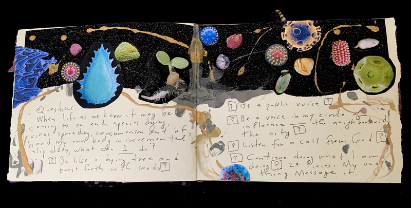 A mixed-media art piece featuring a collage of various organic shapes and textures, accompanied by handwritten questions and reflections.
