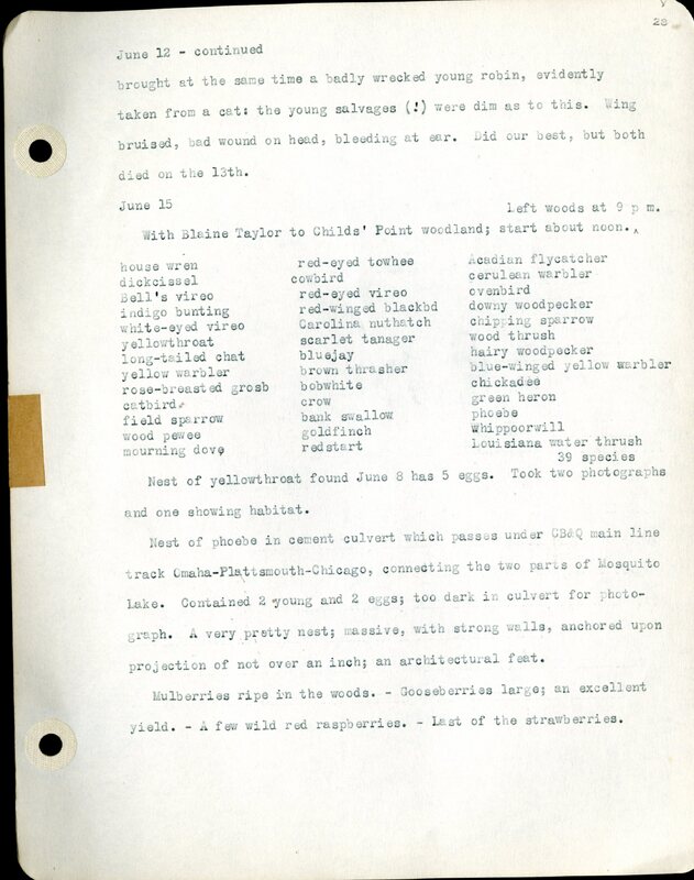 Frank H. Shoemaker typescript, 46 pages, detailing bird sightings, field trips, photography, and associated activities in Omaha, Nebraska.