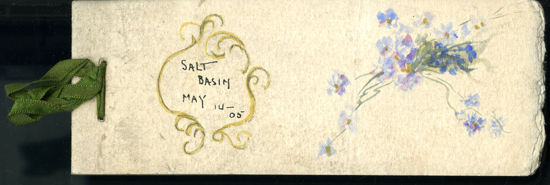 Frank H. Shoemaker handwritten composite list of birds, 5 pages, seen at Salt Basin, Lincoln, Nebraska.