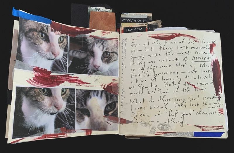 An open scrapbook with cat photos, handwritten text, red brushstrokes, and section tabs labeled "FORGIVENESS" and "TENDER."