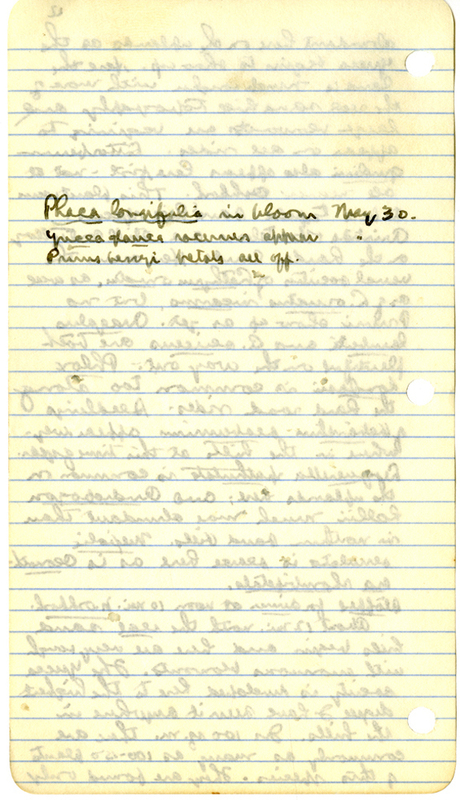 Raymond J. Pool Field Notes and Records