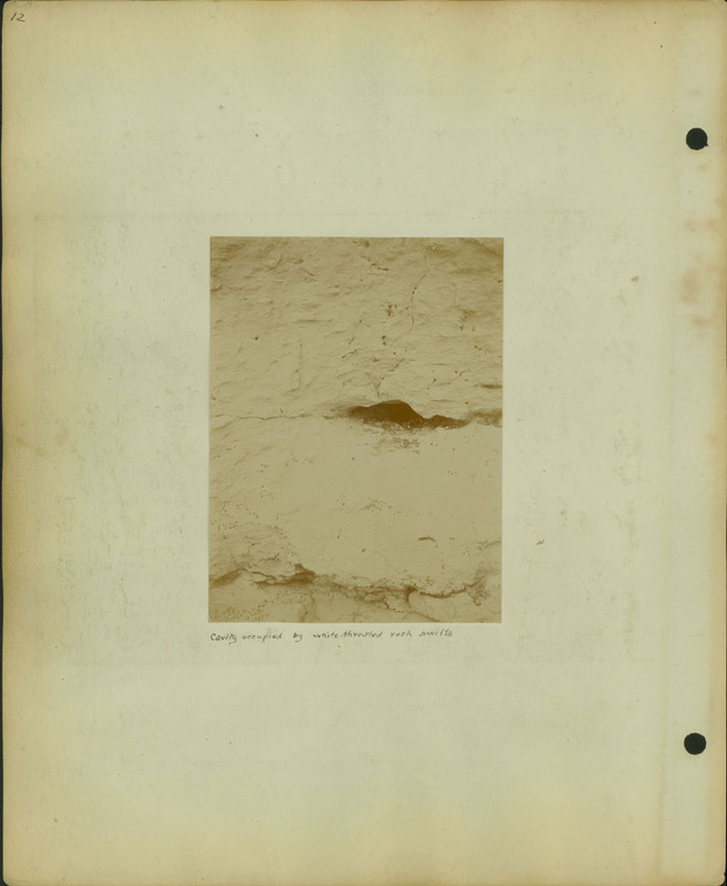 Frank Shoemaker Narratives, Sidney, Banner County, Scotts Bluff, July 30-Aug. 9, 1911