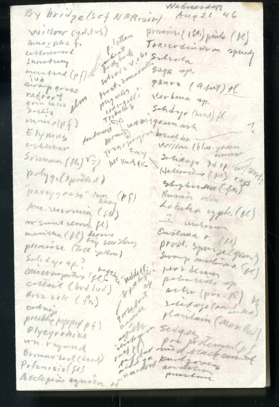 Frank Shoemaker - Sandhills Narratives