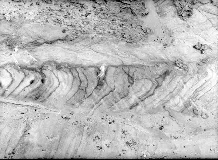 Branson Farm: stratification in sand, roadside cut on road North of Branson Farm. Nov. 13, 1920. Lancaster County. Frank H. Shoemaker (321301-A1216)
