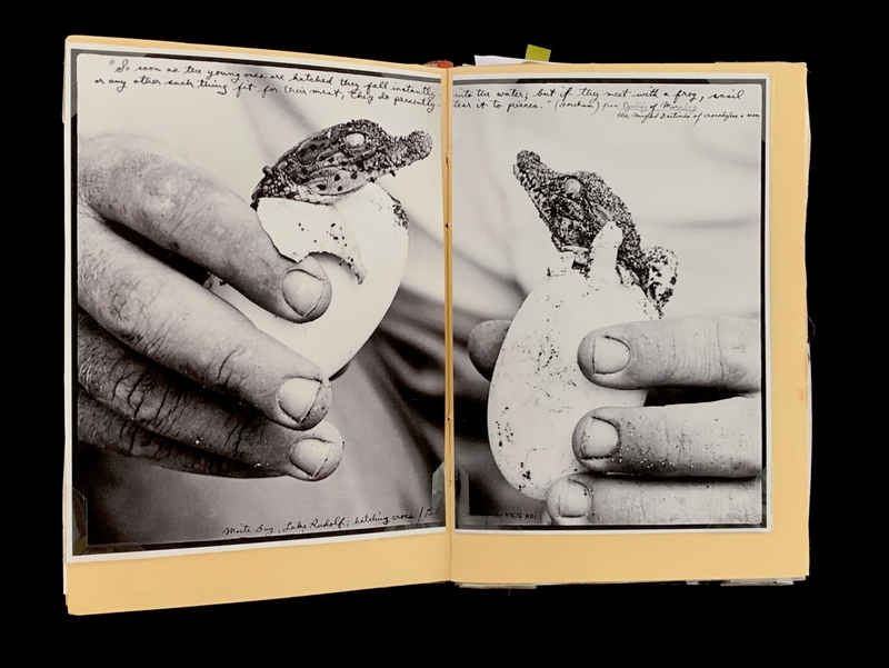 A black-and-white photograph of a hand holding a partially cracked egg, with a frog emerging from it, accompanied by handwritten notes.