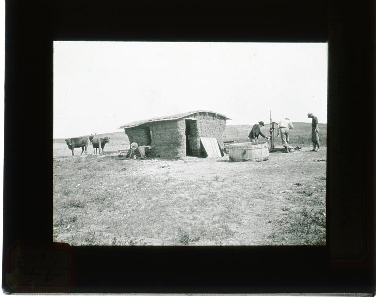 Original caption: Cherry Co. Soddy Now nearly obsolete. F.H.S. July 1911. Three men outside of small soddy, with some cattle and water basin. Cherry County. Frank H. Shoemaker (121111-00059)