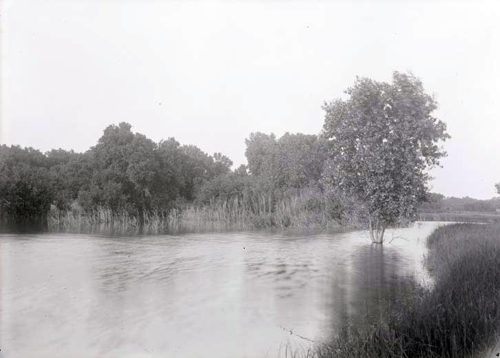 Pond 2 1/2 miles Northeast of Havelock nesting site of green heron. Lancaster County.