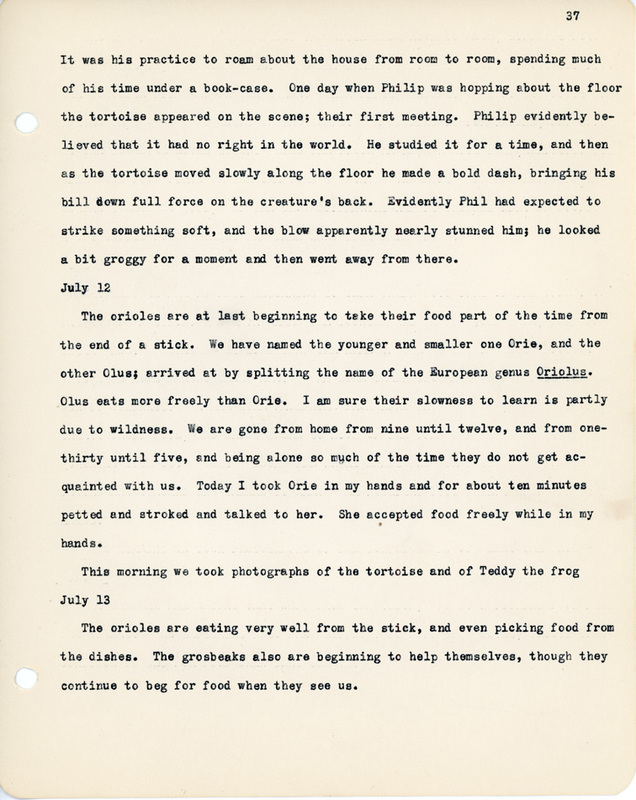 Elizabeth Van Sant transcribed letters