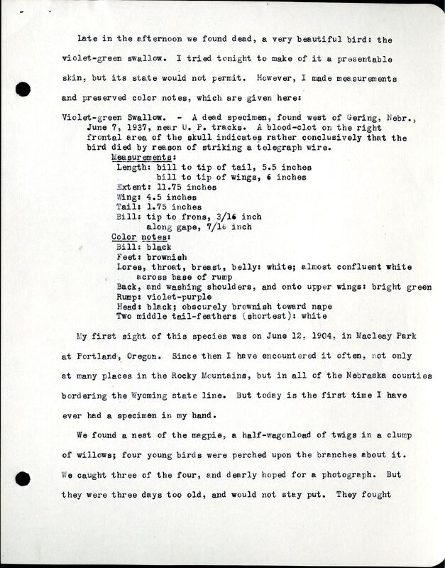 Frank Shoemaker - Sandhills Narratives