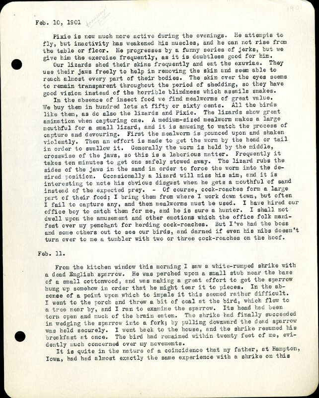 Frank H. Shoemaker typescript, 11 pages, on birds living in bird room in Omaha home with a list of birds in general Omaha region.