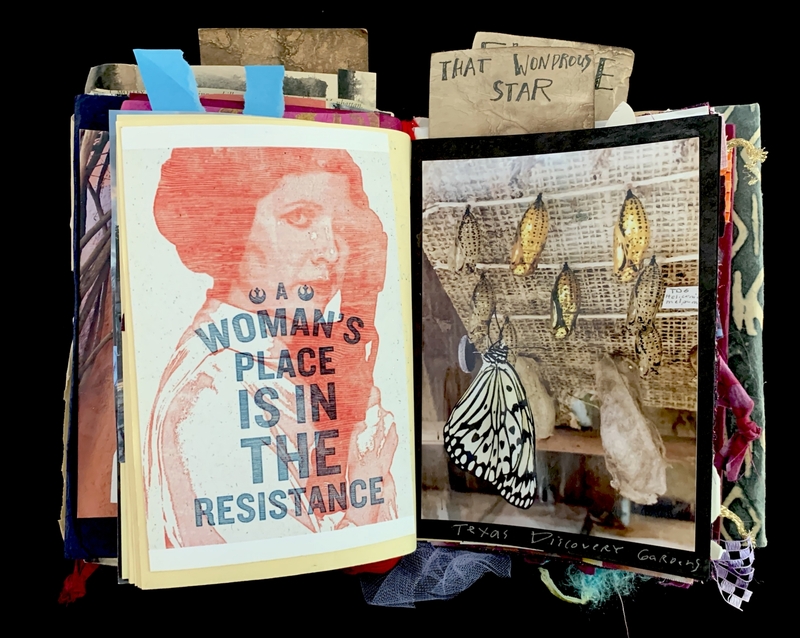 A collage featuring a poster with the text "A Woman's Place is in the Resistance" and a photograph of butterfly chrysalises and a butterfly.