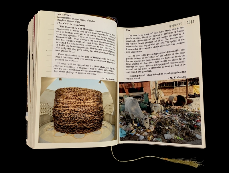 A page from a scrapbook featuring quotes about the cow in Hinduism and images of a woven basket and cows in a trash-filled area.