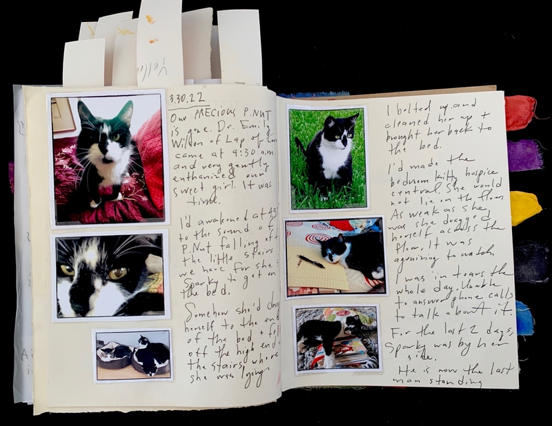 Open journal with photos of a black and white cat and handwritten text.