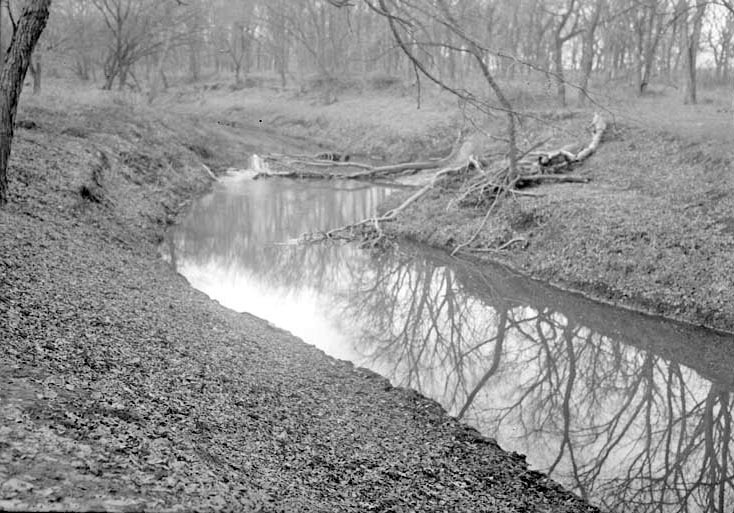 Salt Creek-Branson Woods. Lancaster County. Frank H. Shoemaker (321301-A0977)