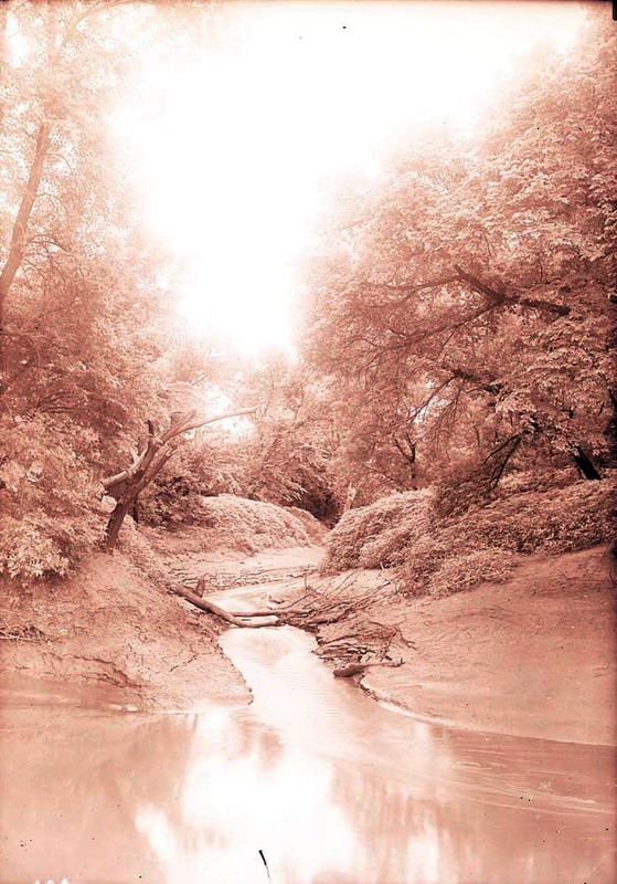 Original caption: Salt Creek junction with Steven's Creek. June 11, 1916