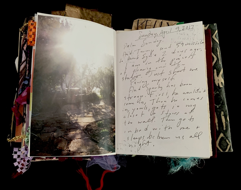 A journal entry dated Sunday, April 9, 2017, featuring a photograph of a sunlit outdoor scene and handwritten reflections.