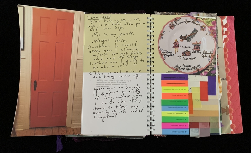 A journal entry dated June 1, 2017, accompanied by a photograph of a red door and a decorative plate.