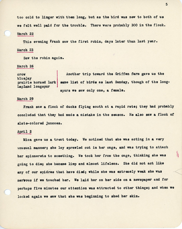 Elizabeth Van Sant transcribed letters