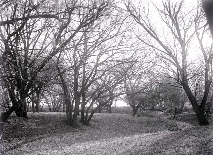 Original caption: Salt Creek, 2 miles S of Pen. South of penitentiary. Nov. 9, 1913