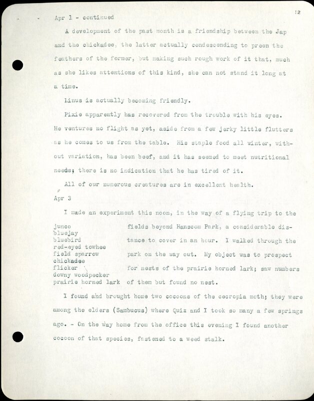 Frank H. Shoemaker typescript, 32 pages, detailing bird sightings, field trips, photography, and associated activities in Omaha, Nebraska.