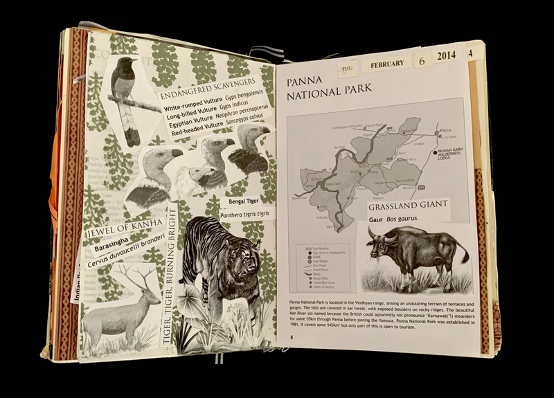 An open notebook with illustrations and information on wildlife and Panna National Park.