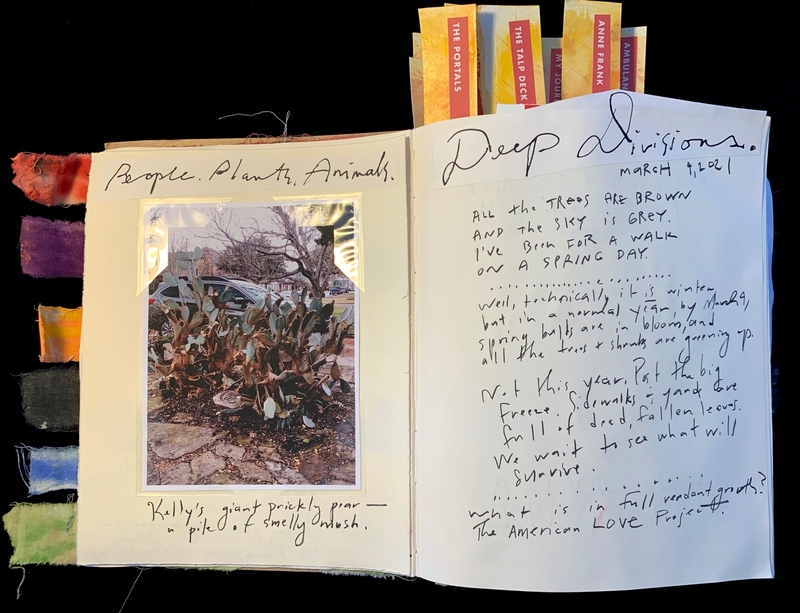 An open journal with a cactus photo on the left page and handwritten text titled "Deep Divisions" on the right.