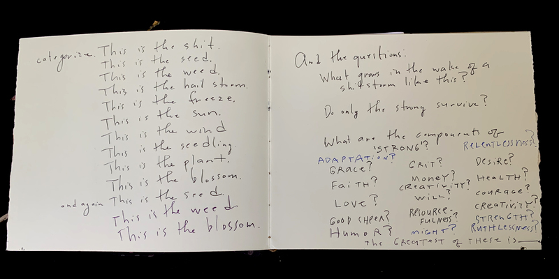 A handwritten page with reflections on resilience, survival, and the components of strength.