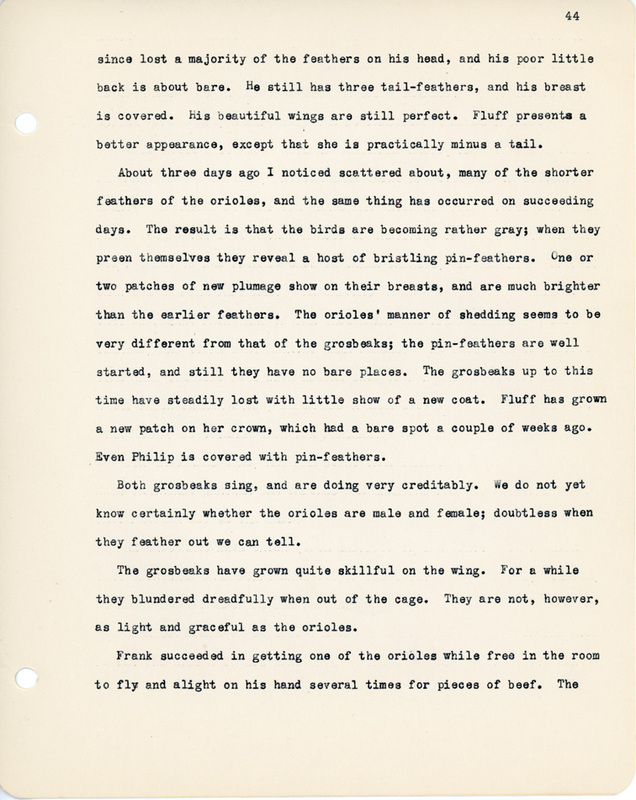 Elizabeth Van Sant transcribed letters