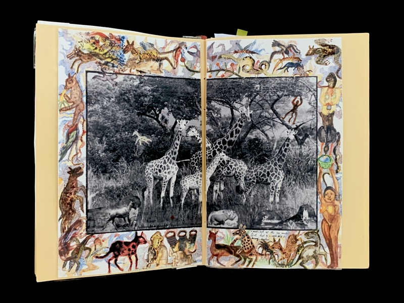 A vibrant, collage-style illustration featuring a central black-and-white photograph of giraffes in a savanna landscape, surrounded by colorful, whimsical animal and human figures.