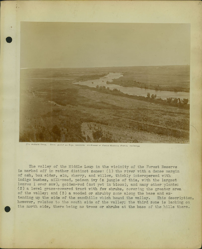 Frank Shoemaker, Narratives, Thomas County, July 3-11, July 27-30, 1911