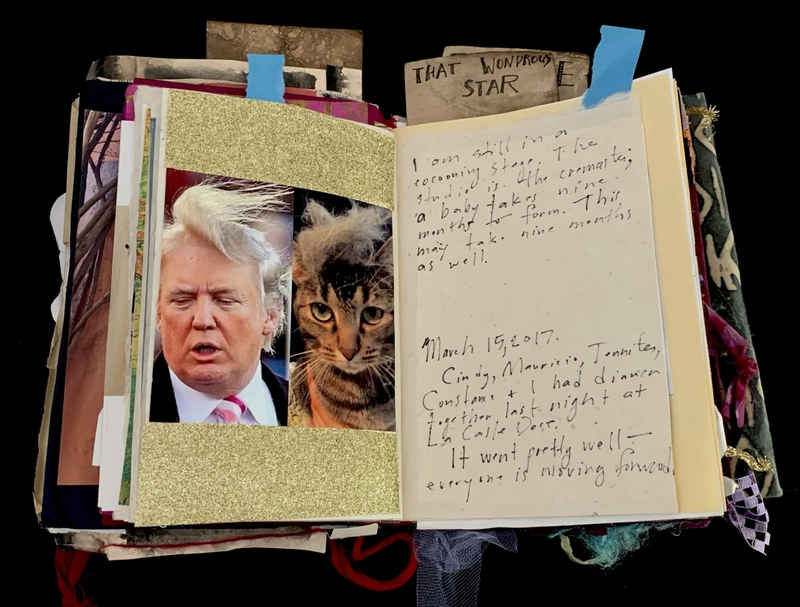 A collage page featuring a photograph of Donald Trump, a photograph of a cat, and handwritten notes.