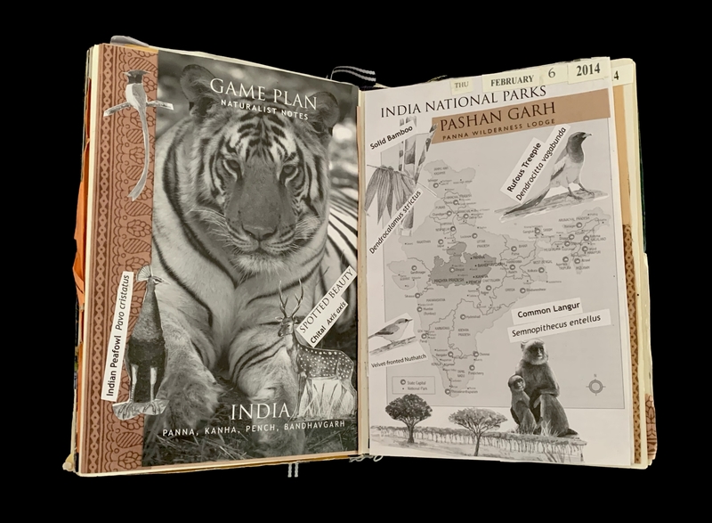 Two-page spread featuring a Bengal tiger and deer on the left, and a map of India with national parks on the right.