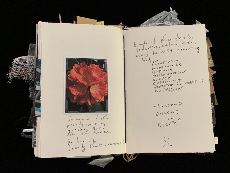A journal page featuring a photograph of red flowers and handwritten notes.
