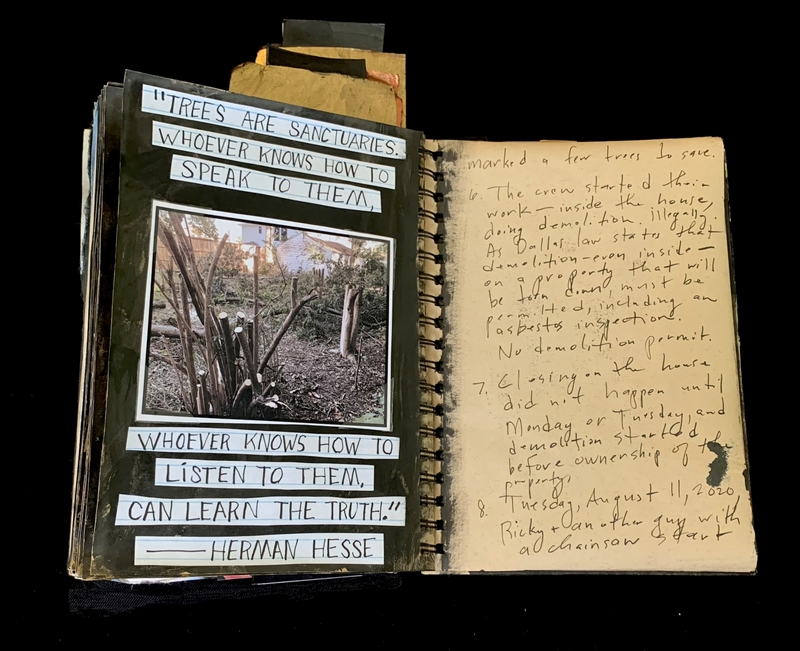 A scrapbook page featuring a photograph of a tree and a handwritten note with a quote by Herman Hesse.
