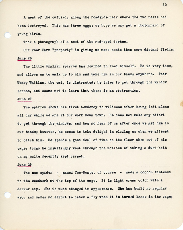 Elizabeth Van Sant transcribed letters