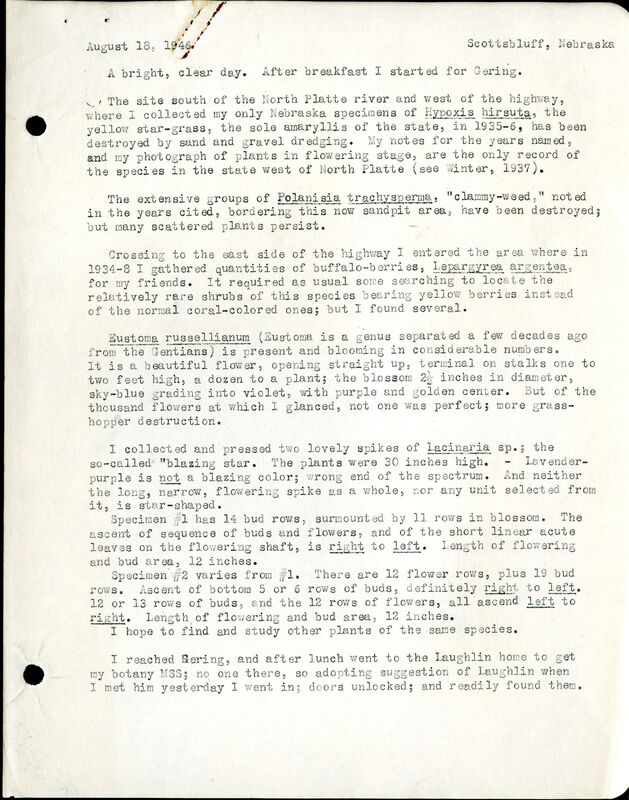 Frank Shoemaker - Sandhills Narratives