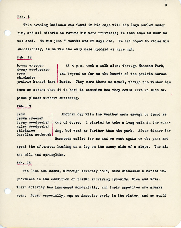 Elizabeth Van Sant transcribed letters