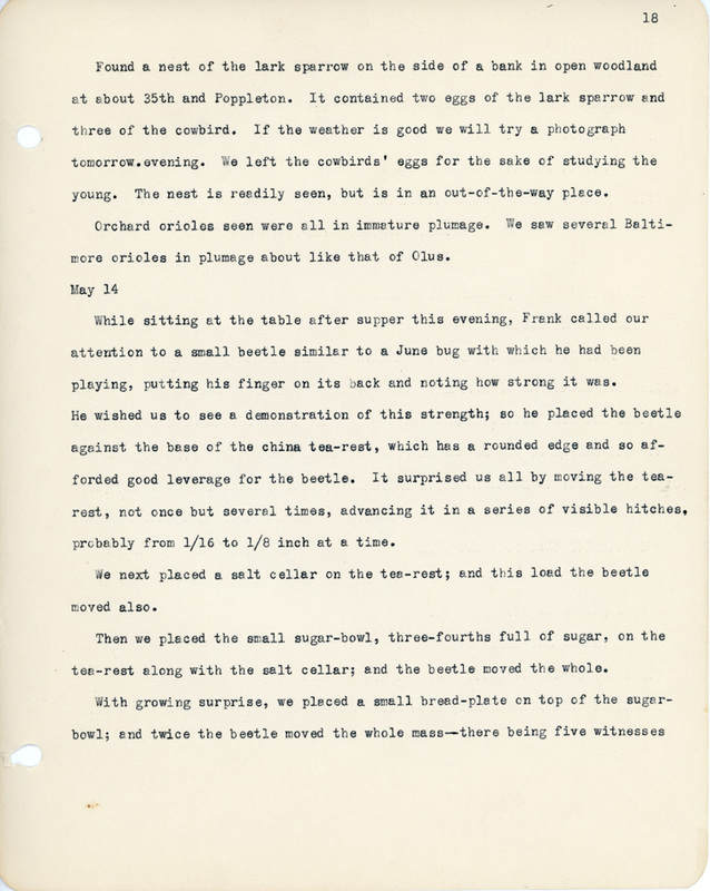 Elizabeth Van Sant transcribed letters