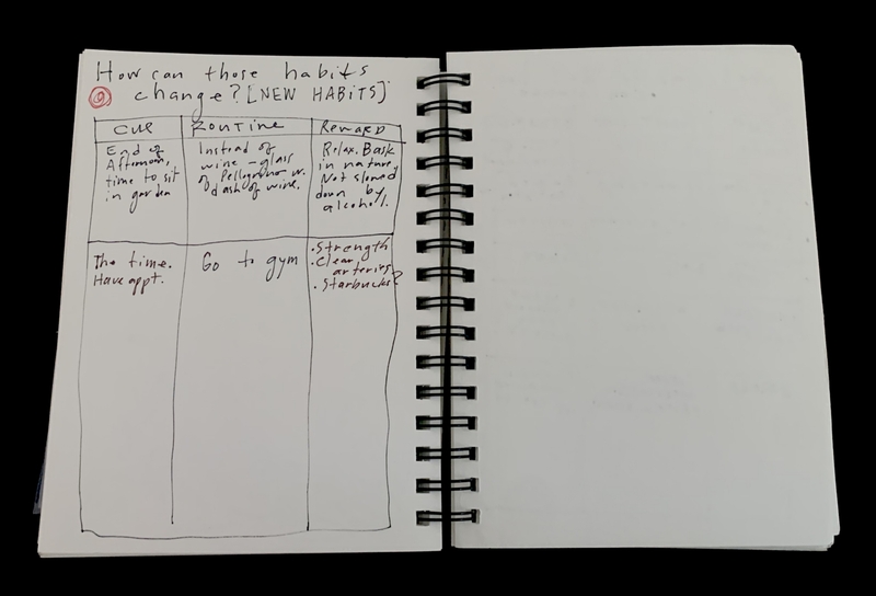 A notebook page with a habit tracking chart and a blank page on the right.
