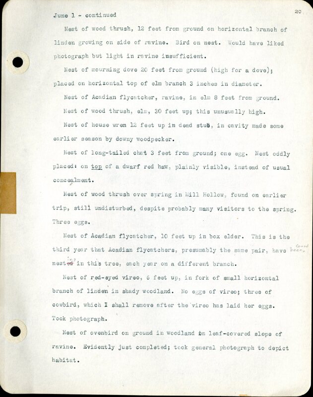 Frank H. Shoemaker typescript, 46 pages, detailing bird sightings, field trips, photography, and associated activities in Omaha, Nebraska.