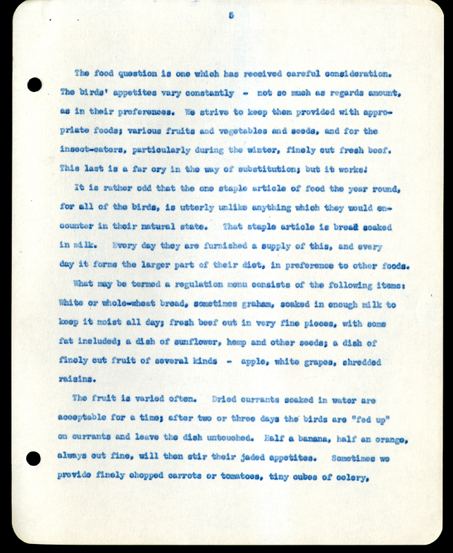 Frank H. Shoemaker typescript narrative, 29 pages,  on the bird room in Omaha home, with details on bird and insects.