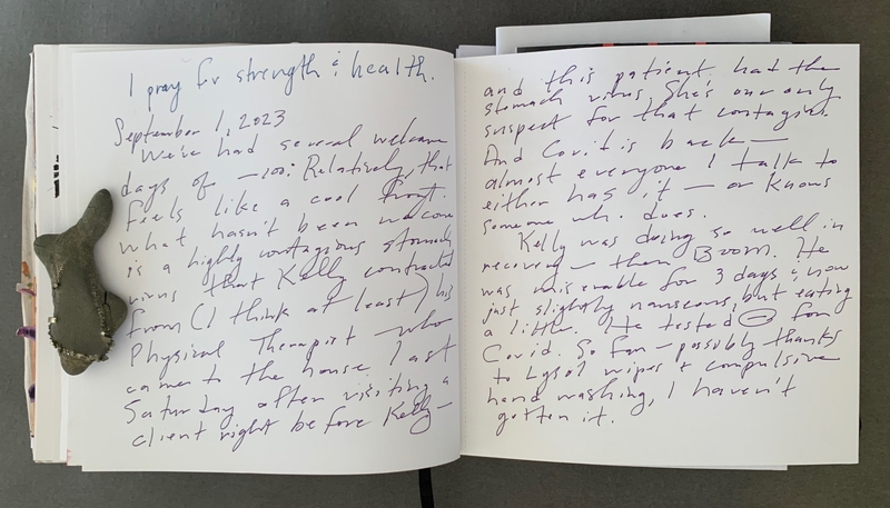 A handwritten journal entry dated September 1, 2023, discussing health concerns and a recent illness.