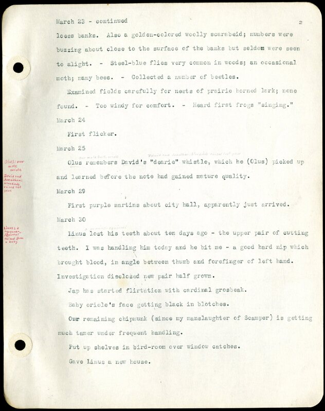 Frank H. Shoemaker typescript, 46 pages, detailing bird sightings, field trips, photography, and associated activities in Omaha, Nebraska.