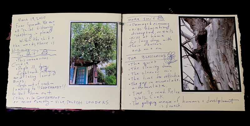 A journal entry dated March 19, 2020, reflecting on the impact of the coronavirus pandemic, with handwritten notes and photographs.