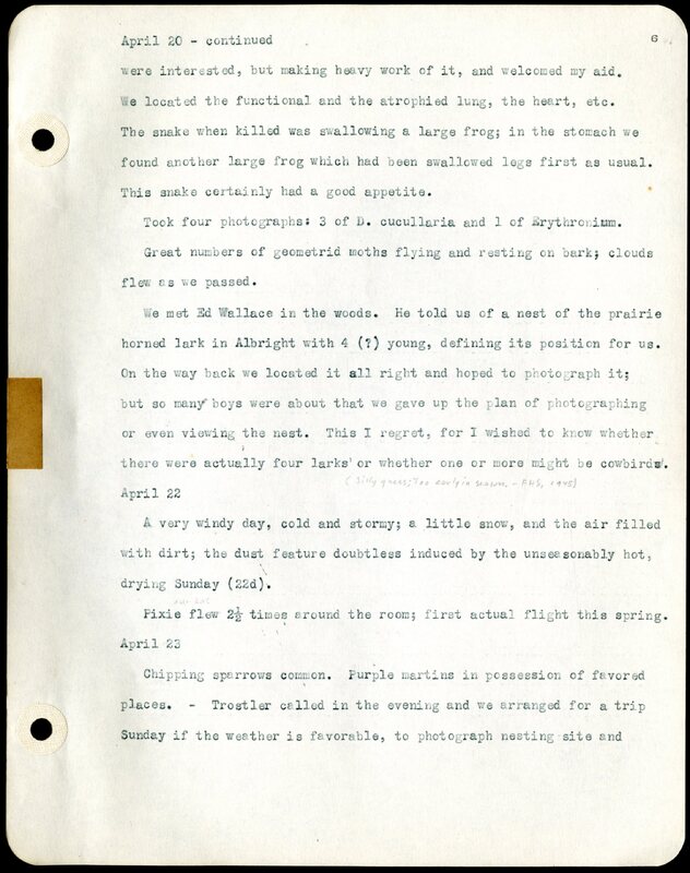 Frank H. Shoemaker typescript, 46 pages, detailing bird sightings, field trips, photography, and associated activities in Omaha, Nebraska.