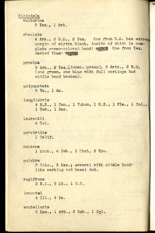 Frank H. Shoemaker typescript, 31 pages, including notes and list on CICINDELIDAE in the Carnegie Museum, Pittsburgh, PN, Nebraska, and his own collection.