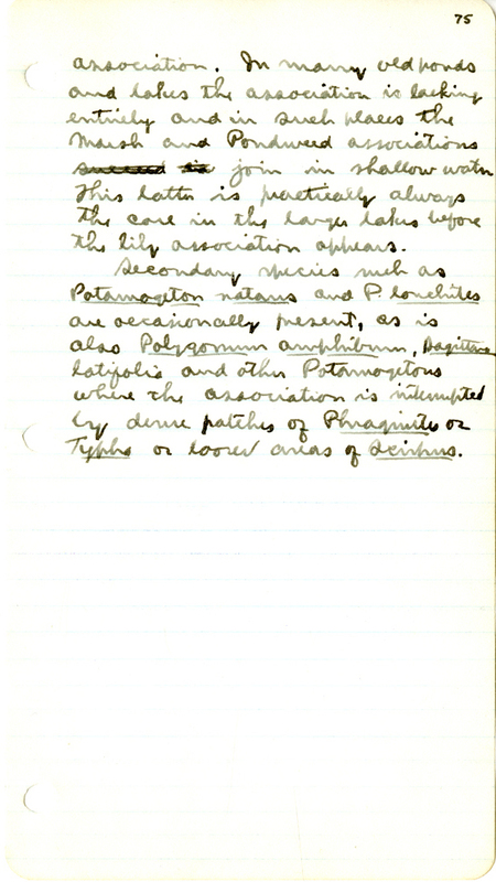 Raymond J. Pool Field Notes and Records