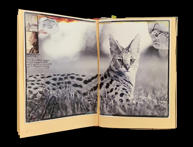 A photograph of a serval cat in a grassy field is featured on a page with various artistic elements and handwritten notes.