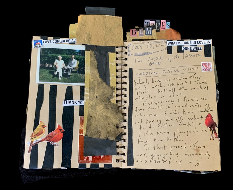 A scrapbook page featuring a photograph of two elderly individuals, a collage of red cardinal birds, and handwritten notes discussing the nature of the parental bond and a bird-watching observation.