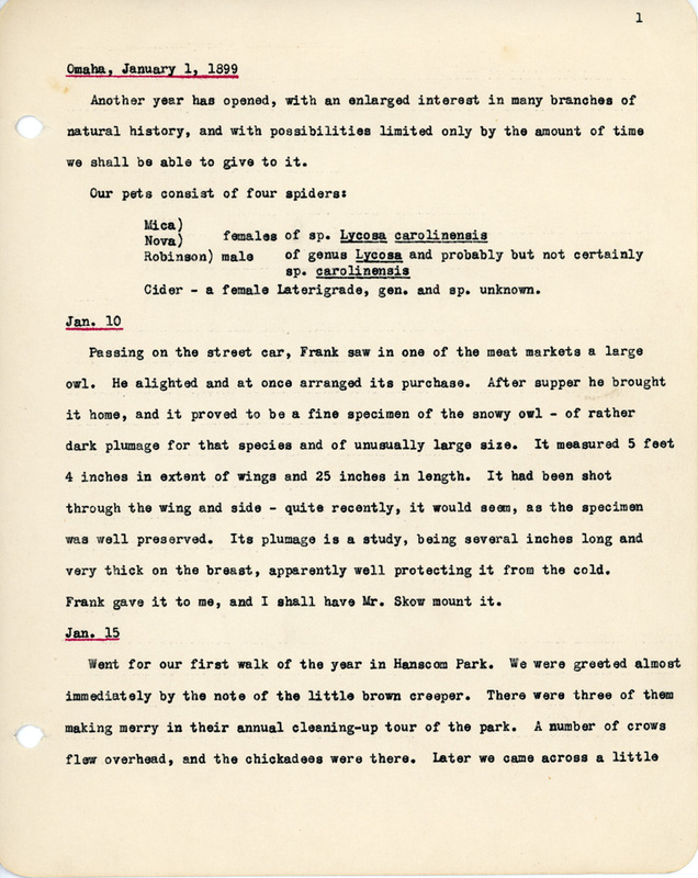 Elizabeth Van Sant transcribed letters